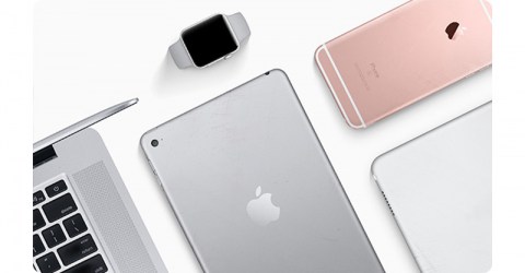apple category